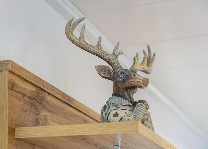 Casa Alotto - Hirsch Appartement